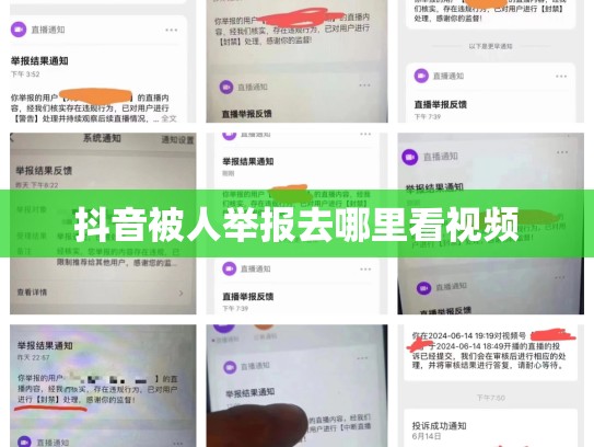 抖音被人举报去哪里看视频