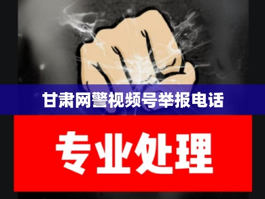 甘肃网警视频号举报电话