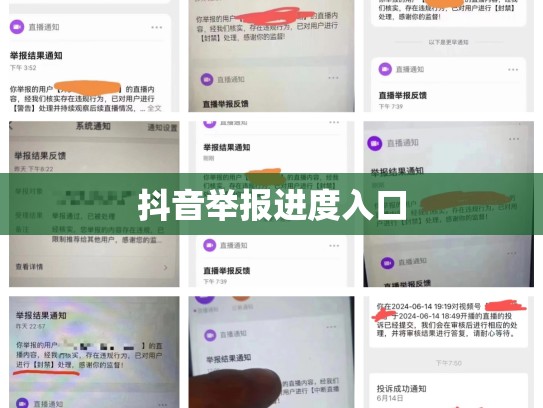 抖音举报进度入口