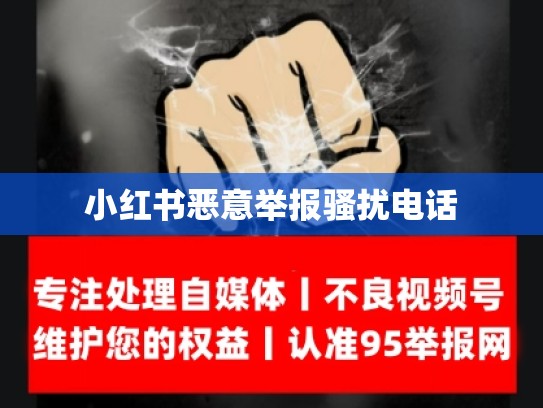 小红书恶意举报骚扰电话