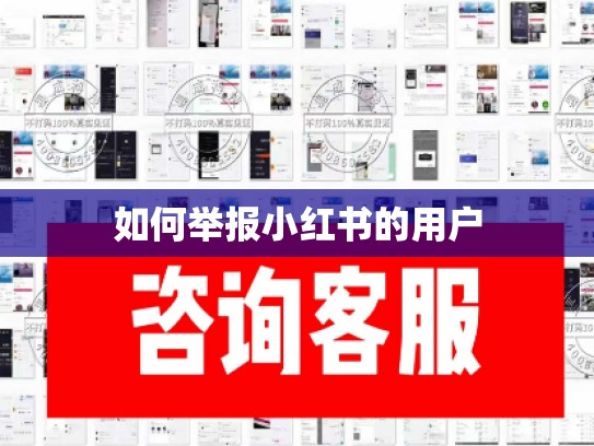 如何举报小红书的用户