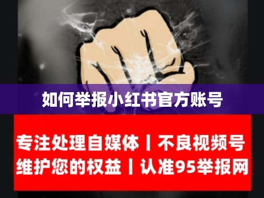 如何举报小红书官方账号