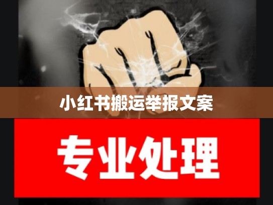 小红书搬运举报文案