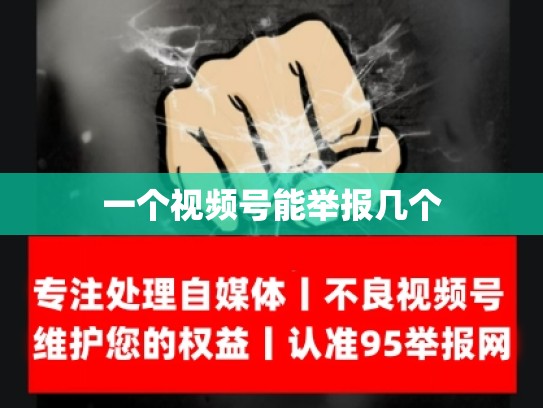 一个视频号能举报几个