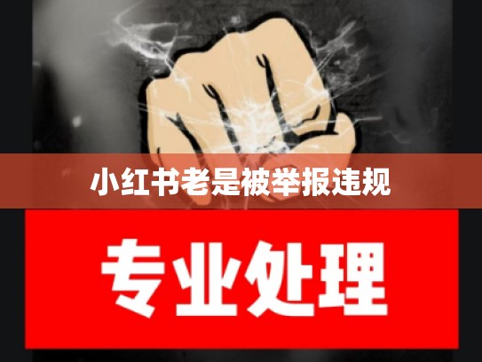 小红书老是被举报违规
