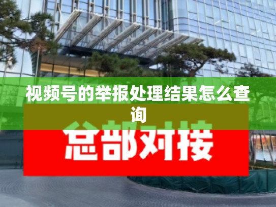 视频号的举报处理结果怎么查询