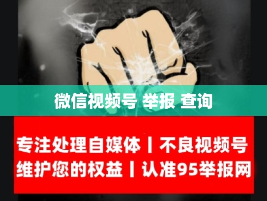 微信视频号 举报 查询
