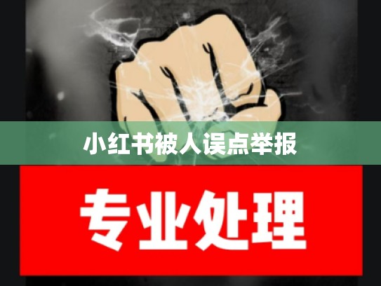 小红书被人误点举报
