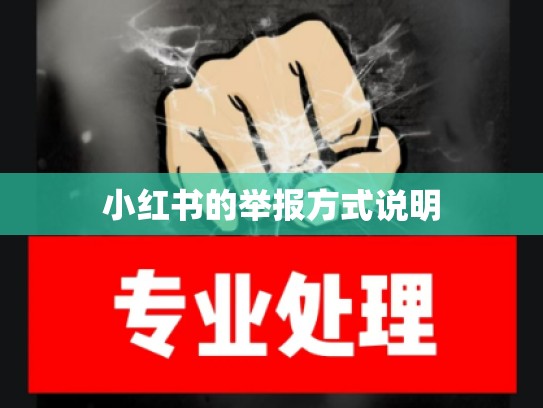 小红书的举报方式说明