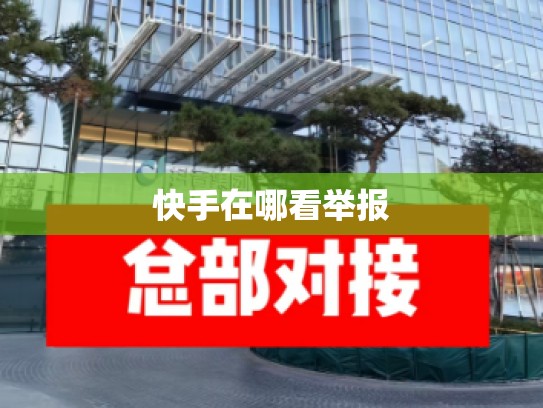 快手在哪看举报