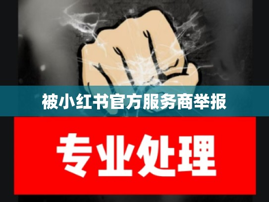被小红书官方服务商举报