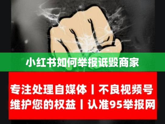 小红书如何举报诋毁商家