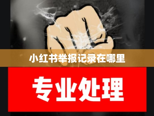小红书举报记录在哪里