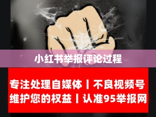 小红书举报评论过程