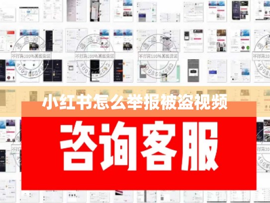 小红书怎么举报被盗视频