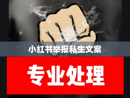 小红书举报私生文案