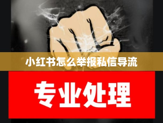 小红书怎么举报私信导流