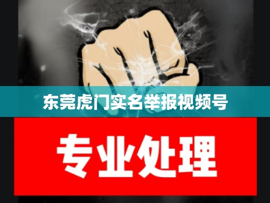 东莞虎门实名举报视频号