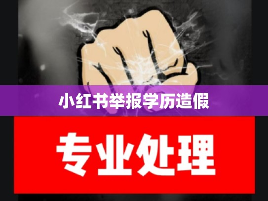 小红书举报学历造假