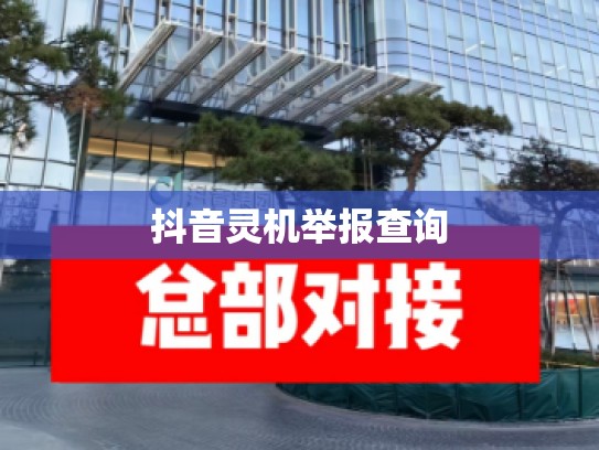 抖音灵机举报查询