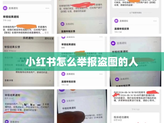 小红书怎么举报盗图的人