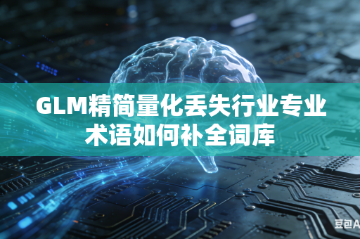 GLM精简量化丢失行业专业术语如何补全词库