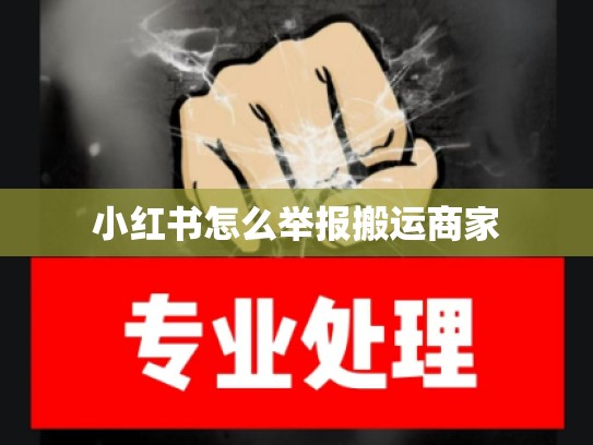 小红书怎么举报搬运商家