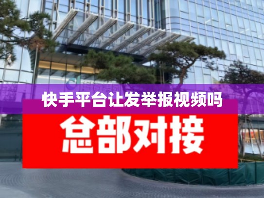 快手平台让发举报视频吗