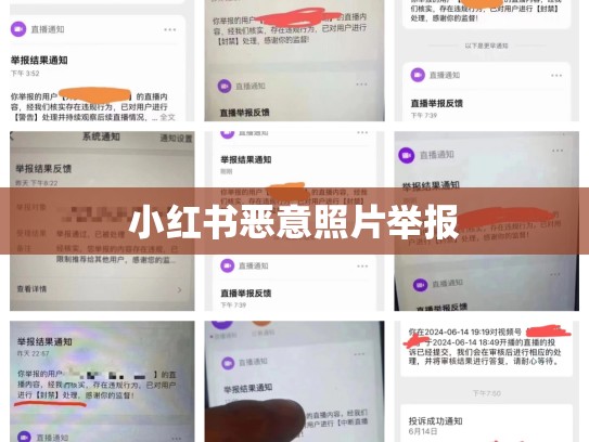 小红书恶意照片举报