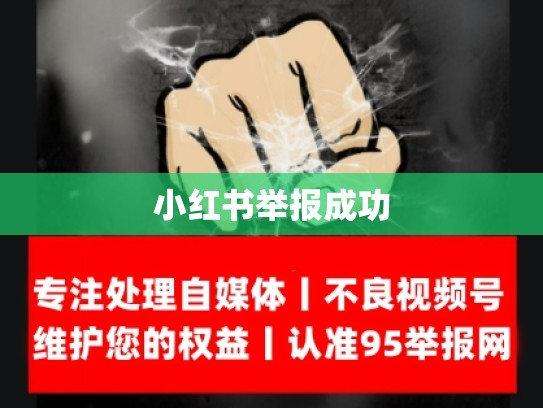 小红书举报成功