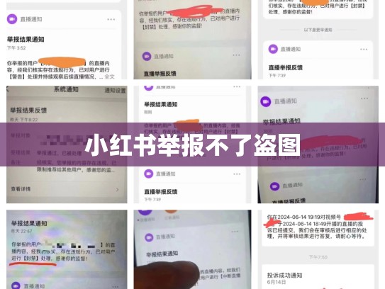小红书举报不了盗图