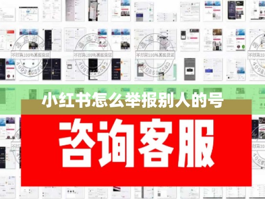 小红书怎么举报别人的号
