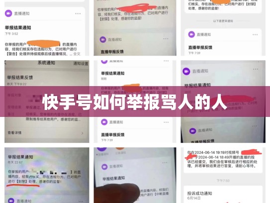 快手号如何举报骂人的人