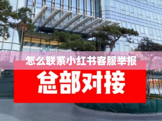 怎么联系小红书客服举报