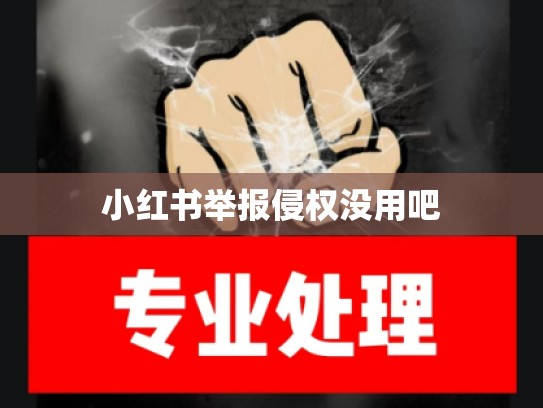 小红书举报侵权没用吧