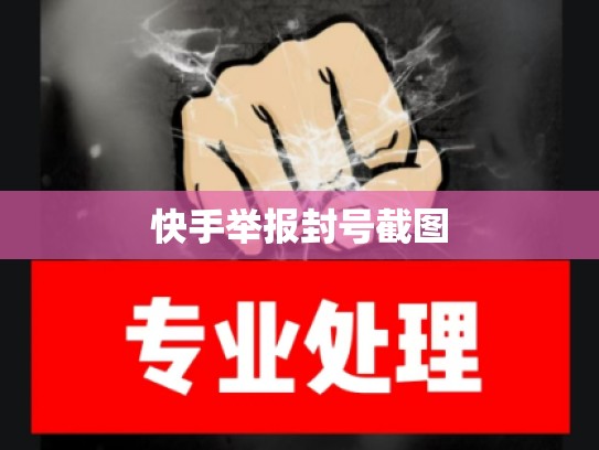 快手举报封号截图