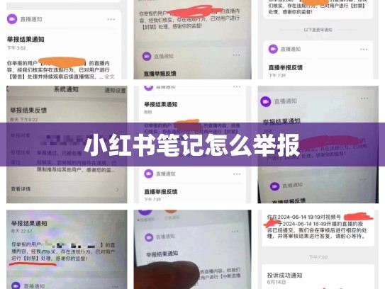 小红书笔记怎么举报