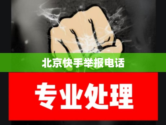 北京快手举报电话