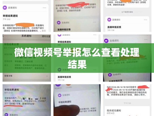 微信视频号举报怎么查看处理结果