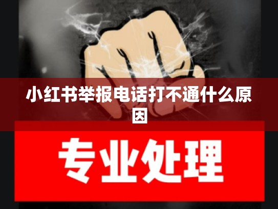 小红书举报电话打不通什么原因