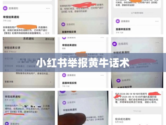 小红书举报黄牛话术