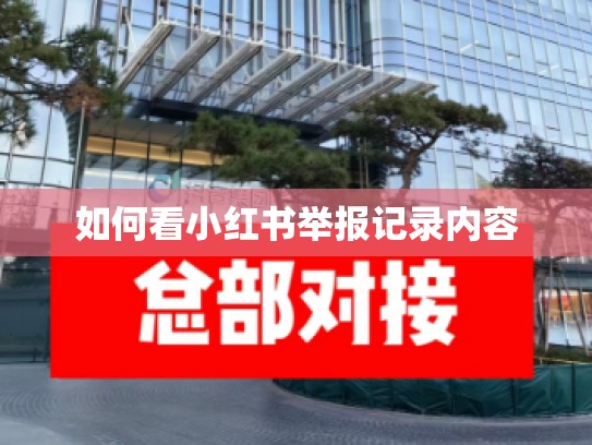如何看小红书举报记录内容