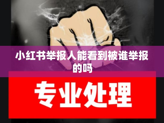 小红书举报人能看到被谁举报的吗