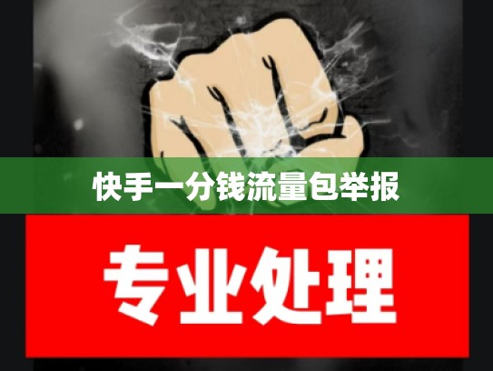 快手一分钱流量包举报