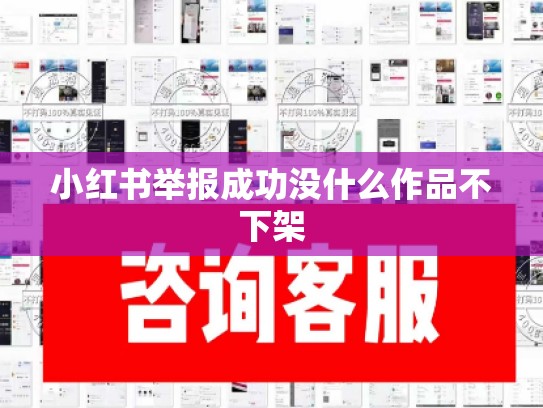 小红书举报成功没什么作品不下架