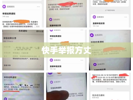 快手举报方丈