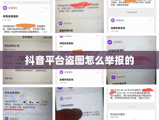 抖音平台盗图怎么举报的
