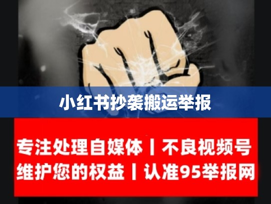 小红书抄袭搬运举报
