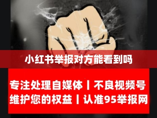小红书举报对方能看到吗