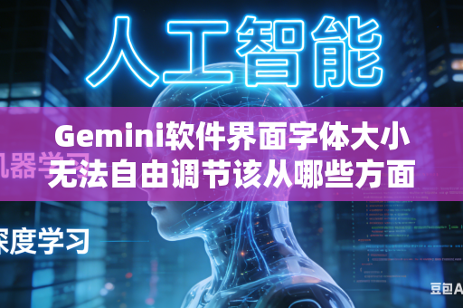 Gemini软件界面字体大小无法自由调节该从哪些方面入手排查设置问题吗